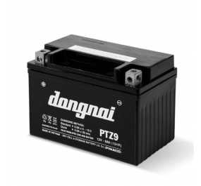 Ắc quy khô đồng nai PTZ9 (12V-9Ah)